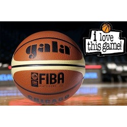 Minge CHICAGO FIBA Gala
